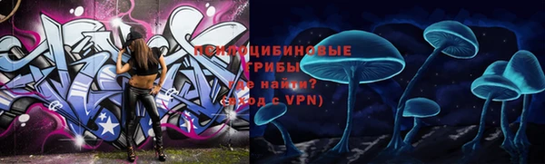 герыч Абаза